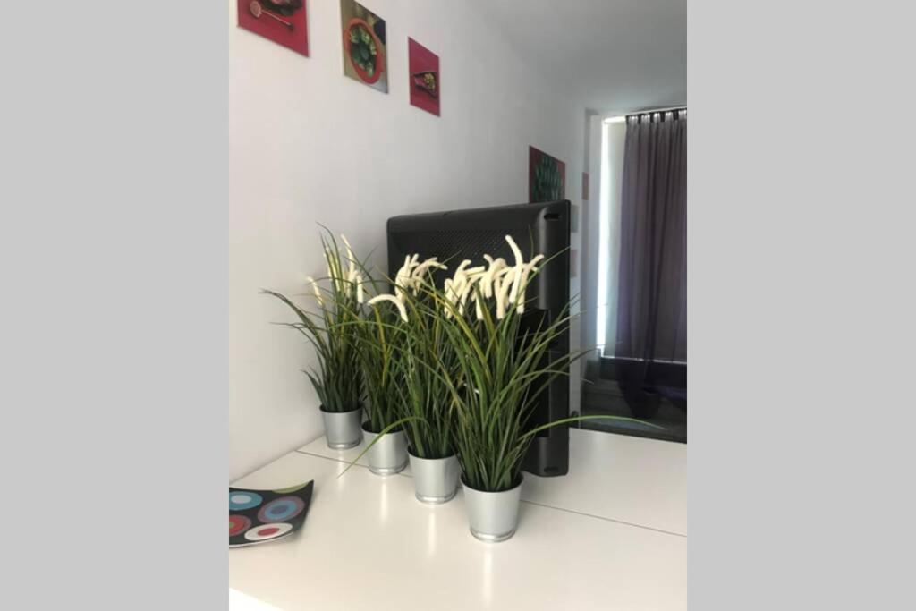 Apartament Atico Con Vistas Y Gran Terraza Guía de Isora Zewnętrze zdjęcie
